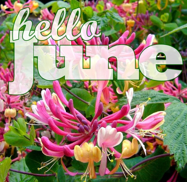 Hello June